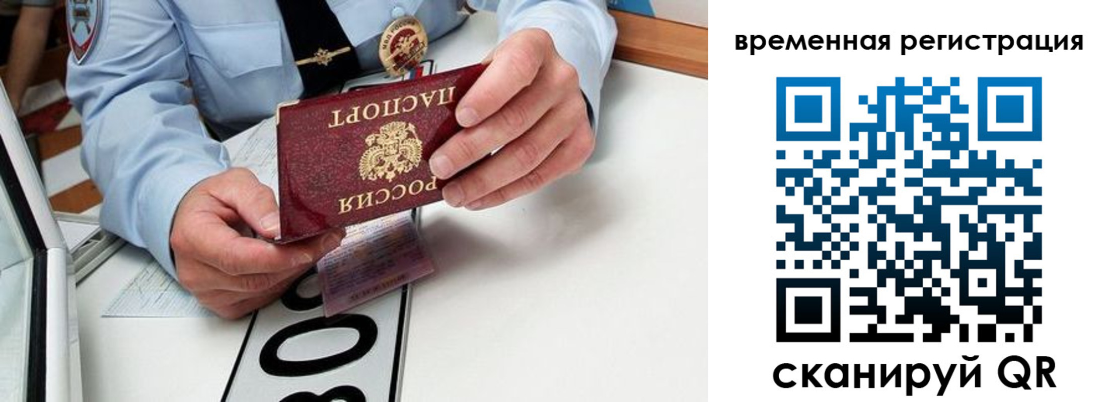 прописка гарантия в Жердевке